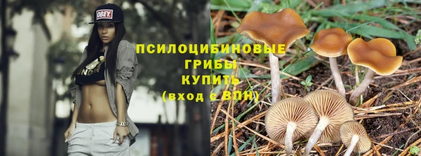 spice Краснотурьинск