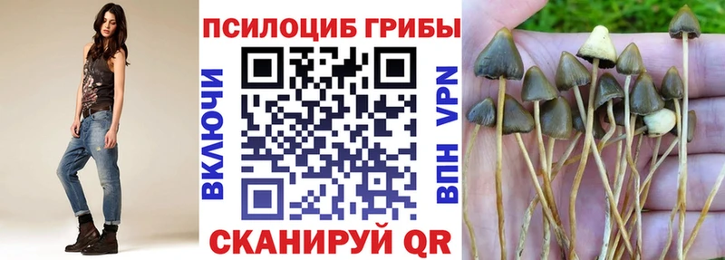 omg рабочий сайт Медвежьегорск Галлюциногенные грибы ЛСД